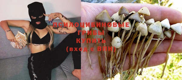 дмт Армянск