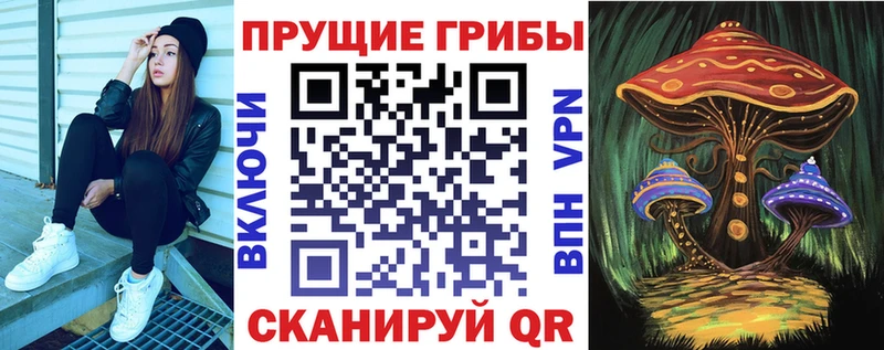 где найти наркотики Калининск Псилоцибиновые грибы прущие грибы